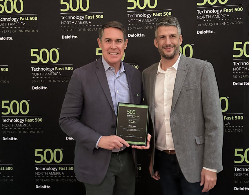 Deloitte 500